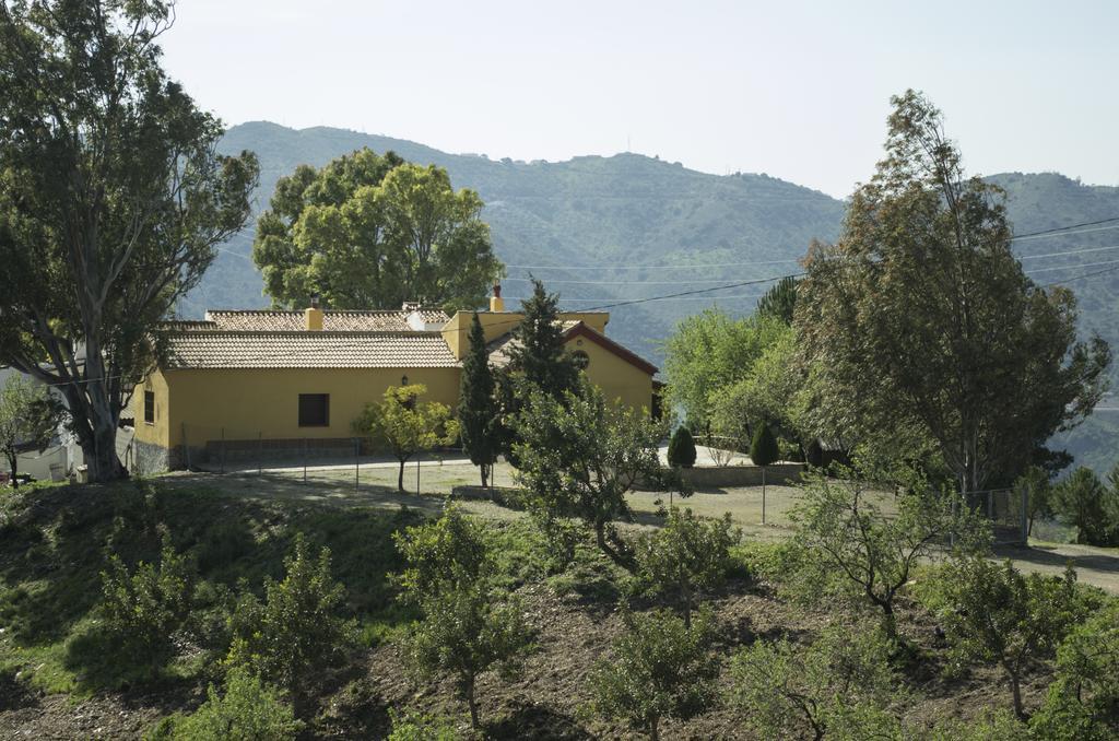 Willa Rural Montes Malaga: Lagar Don Sancho Pokój zdjęcie